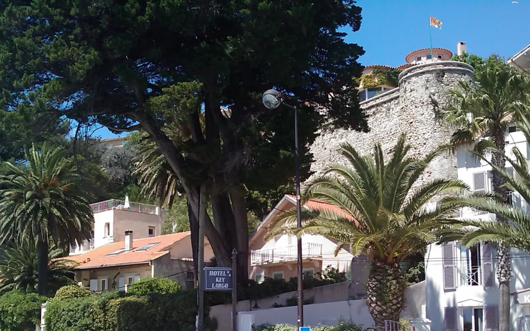 Plaquiste à Bandol